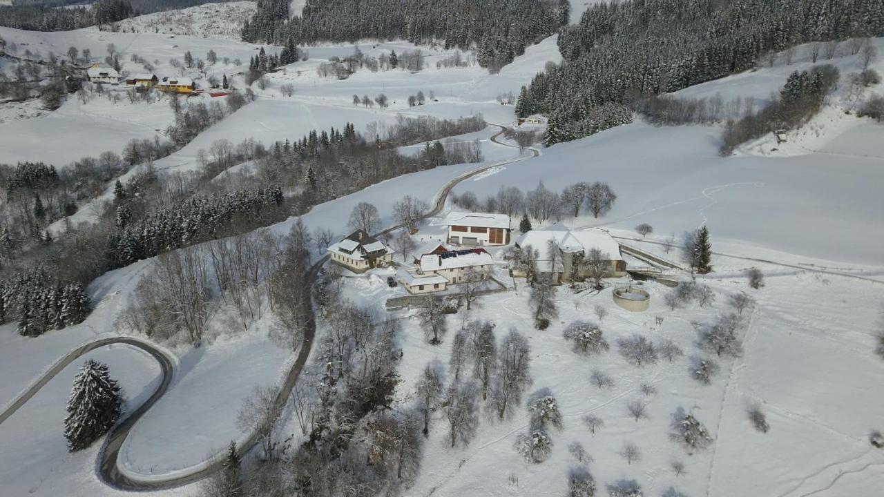 Apartament Familienbauernhof Gunzer-Sank Eberstein Zewnętrze zdjęcie