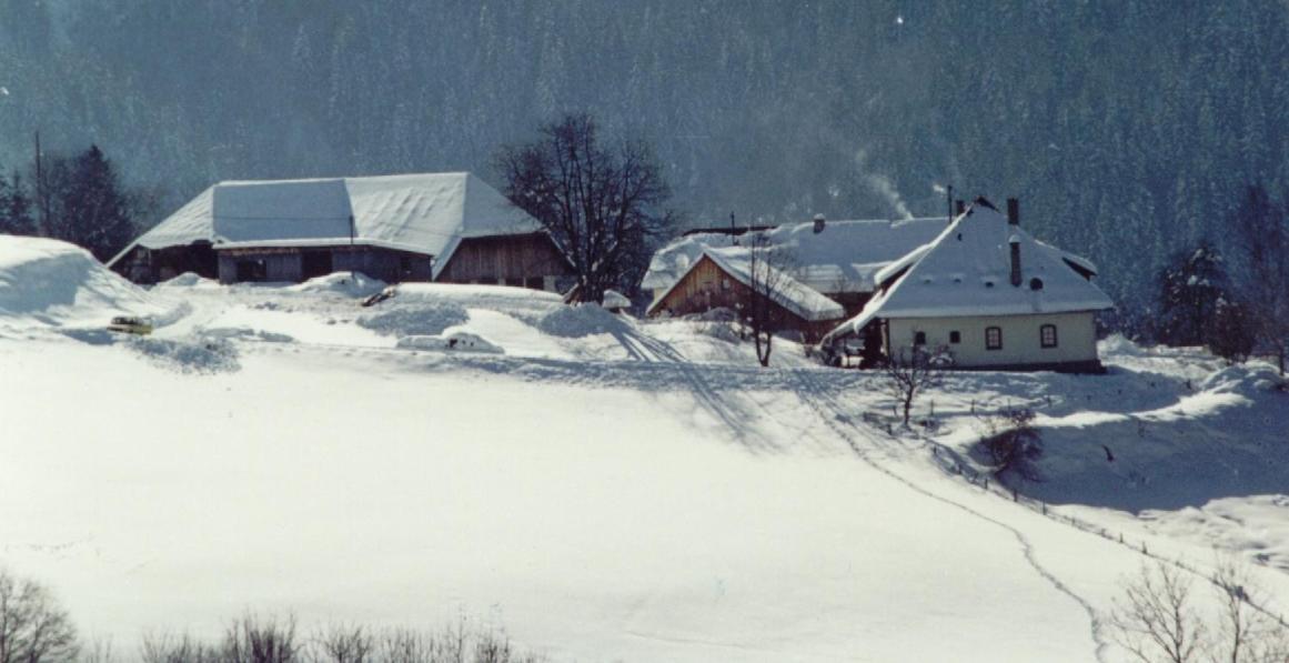 Apartament Familienbauernhof Gunzer-Sank Eberstein Zewnętrze zdjęcie