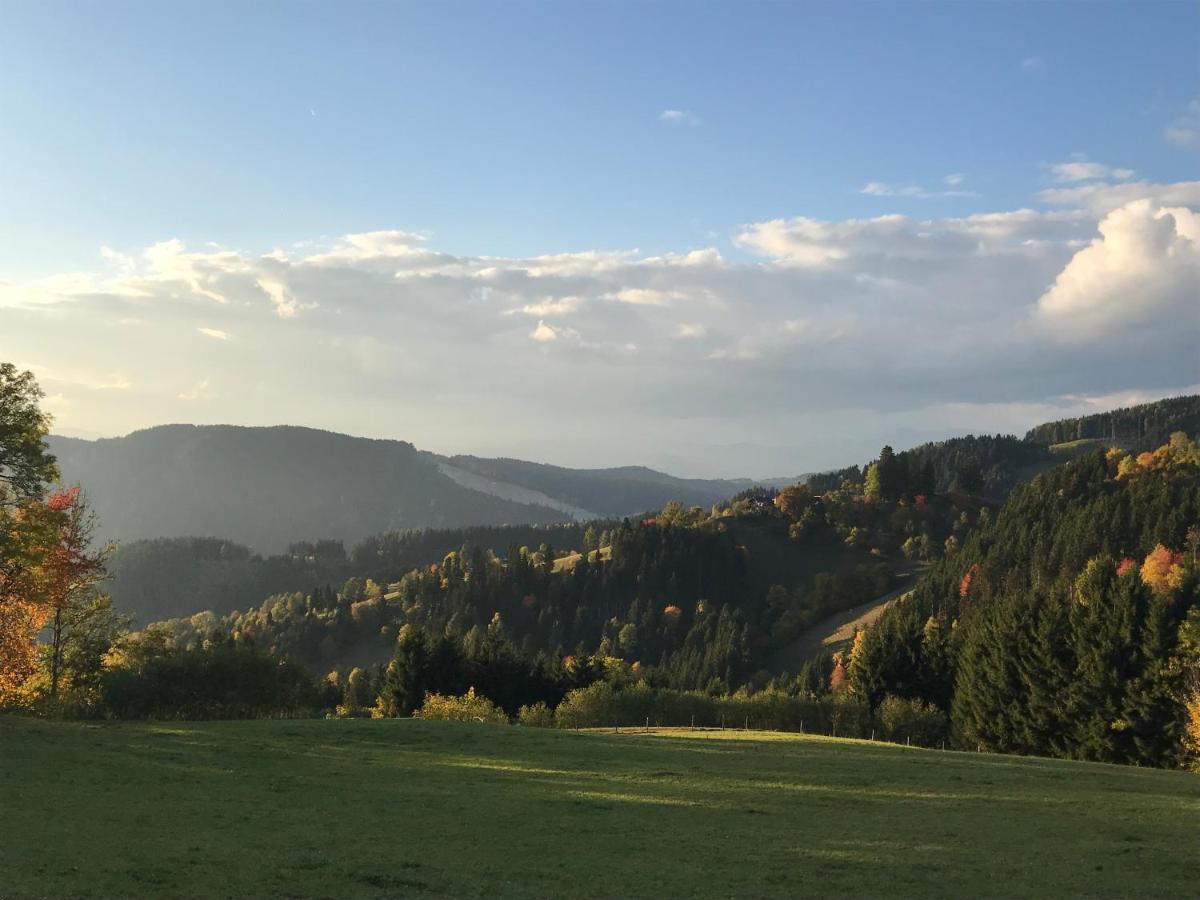 Apartament Familienbauernhof Gunzer-Sank Eberstein Zewnętrze zdjęcie