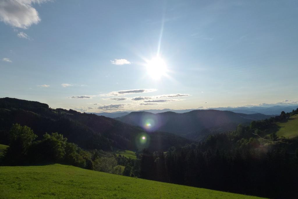 Apartament Familienbauernhof Gunzer-Sank Eberstein Zewnętrze zdjęcie