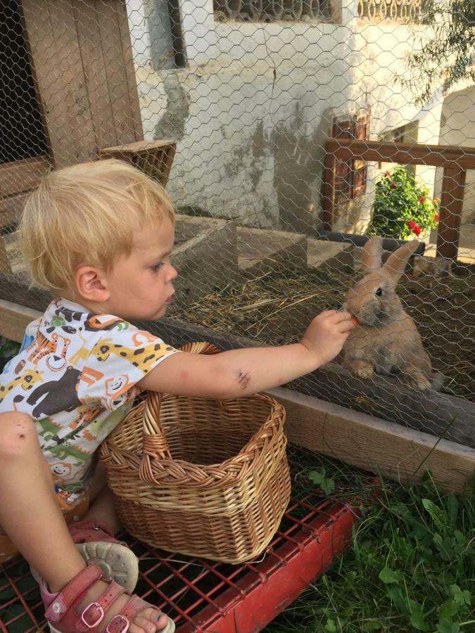 Apartament Familienbauernhof Gunzer-Sank Eberstein Zewnętrze zdjęcie